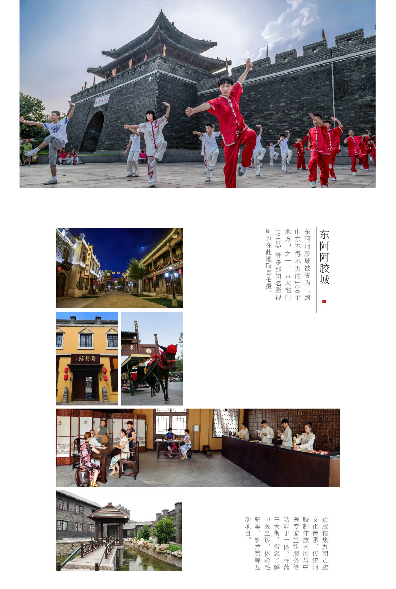 盛力国际阿胶城